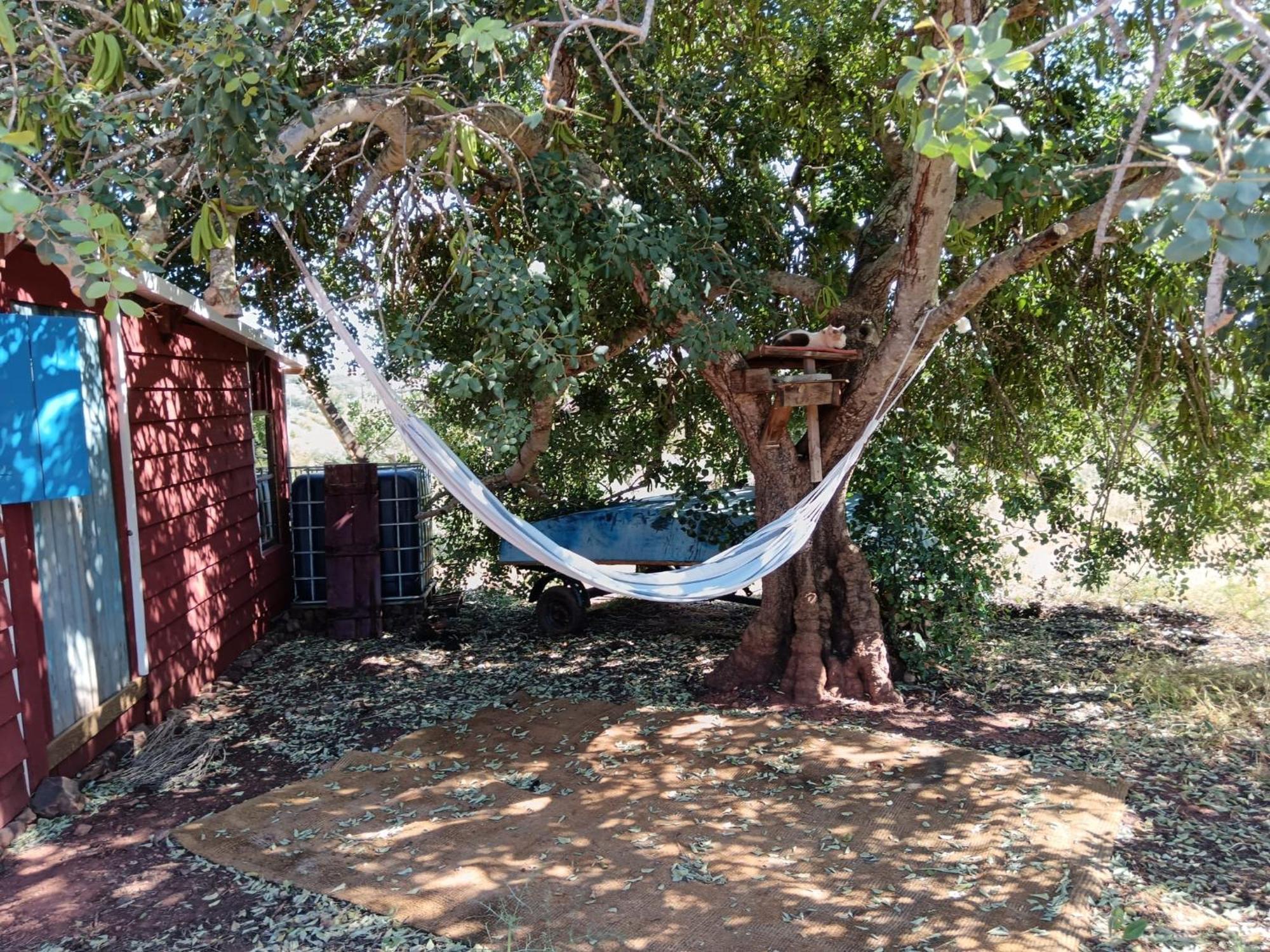 Villa Quinta da Fornalha - Santuario Agroecologico Castro Marim Esterno foto