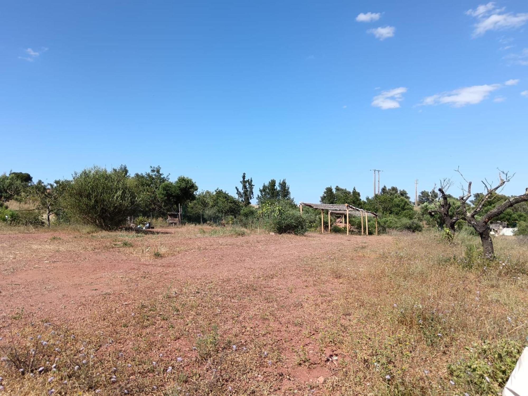 Villa Quinta da Fornalha - Santuario Agroecologico Castro Marim Esterno foto