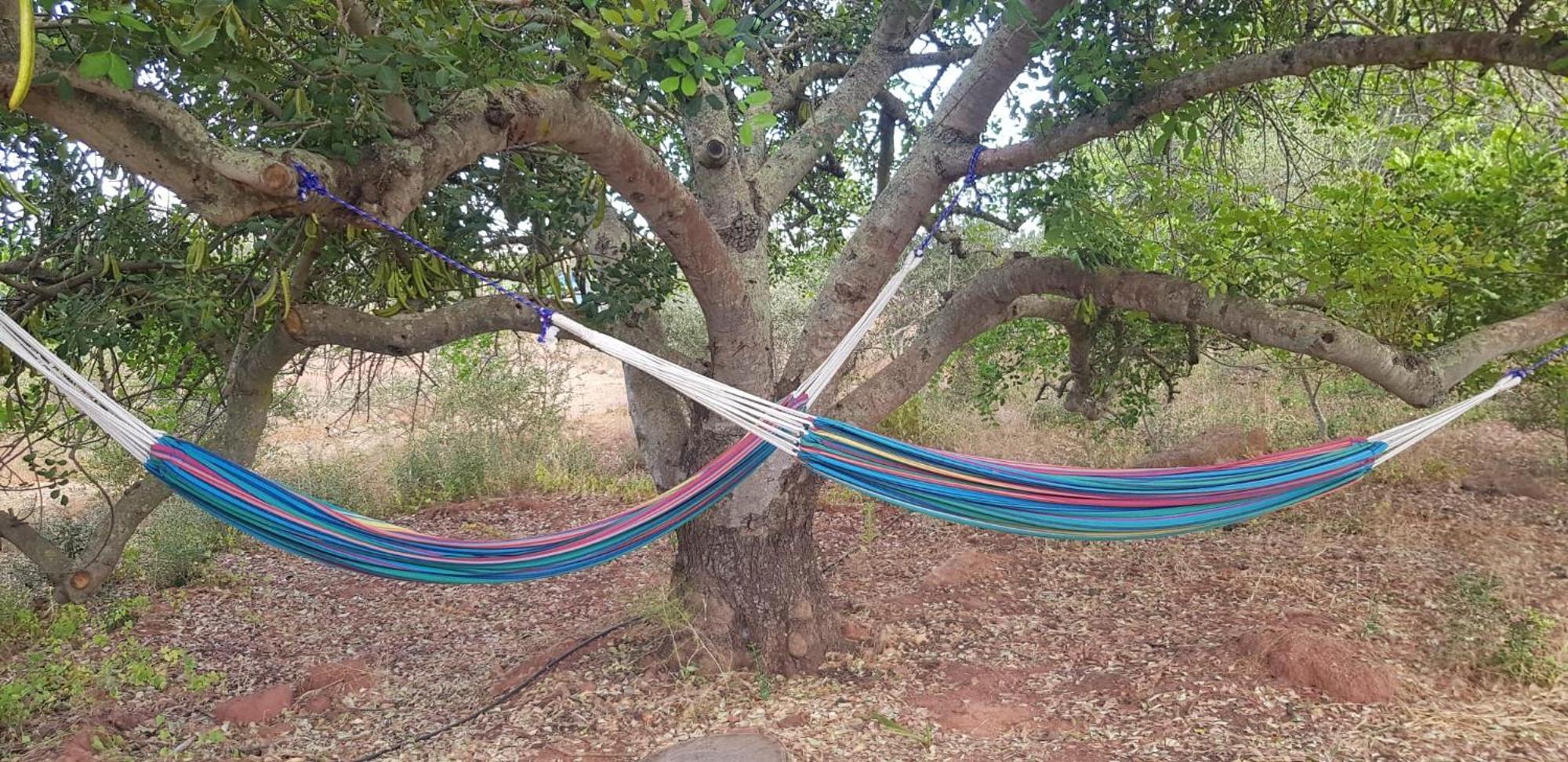 Villa Quinta da Fornalha - Santuario Agroecologico Castro Marim Esterno foto
